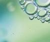 Les micropolluants dans les eaux : réglementation et stratégie de traitement